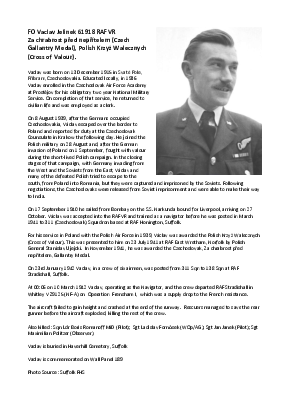 A preview of a PDF biography for Jelinek, Vaclav